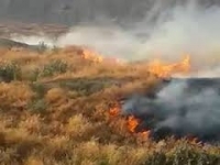 Yangın Güvenliği Hakkında